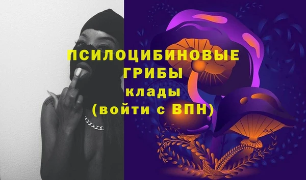 ALPHA-PVP Гусев