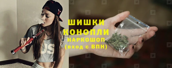 ALPHA-PVP Гусев