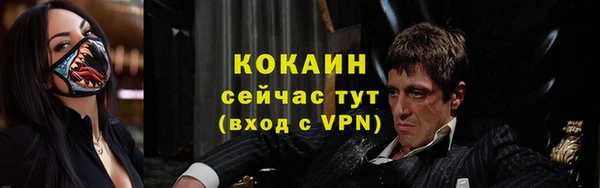 тгк Гусь-Хрустальный