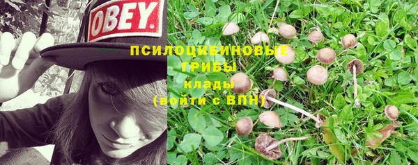 тгк Гусь-Хрустальный