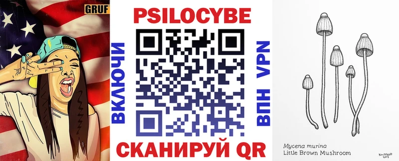 Псилоцибиновые грибы GOLDEN TEACHER  Купить закладки  Нея 