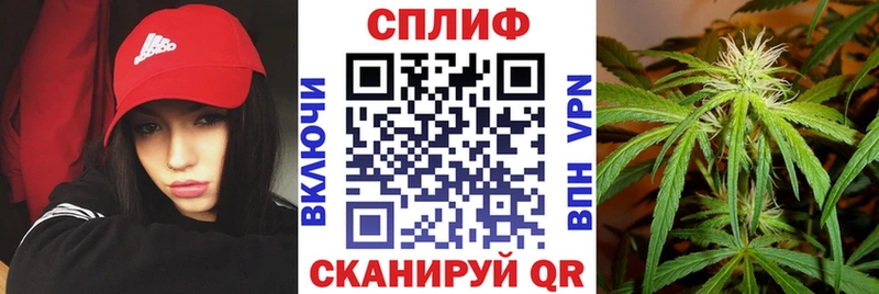 Купить где  Нея  Каннабис гибрид 